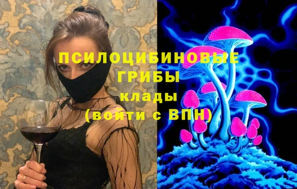 mdpv Алзамай