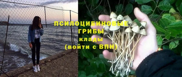 mdpv Алзамай