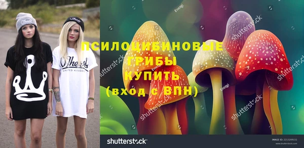 гидра Алексин