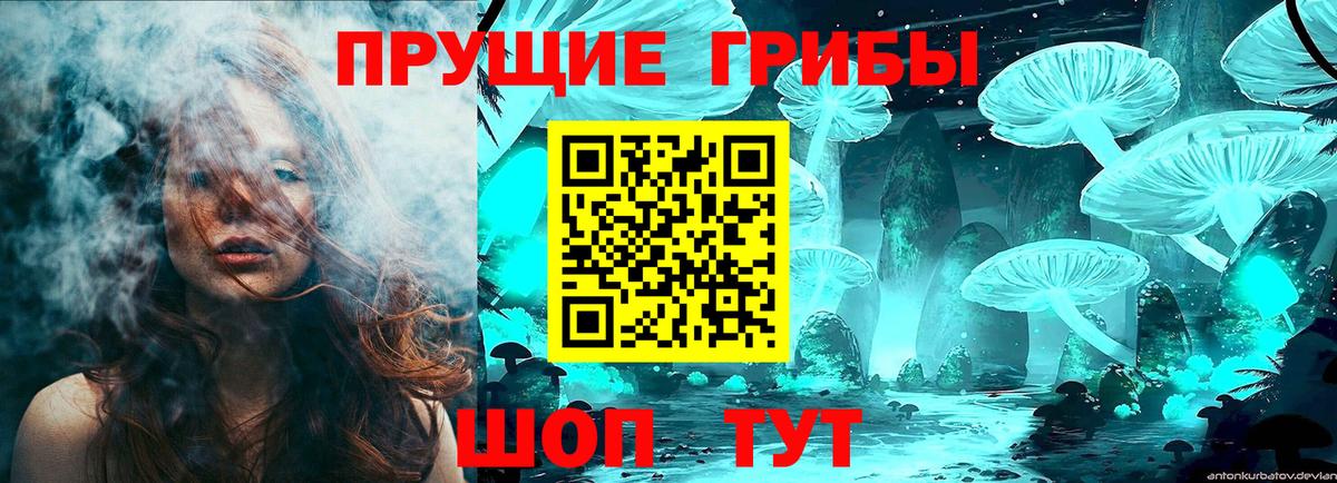 магазин продажи наркотиков  Вход с VPN  Мирный  Псилоцибиновые грибы Psilocybine cubensis 