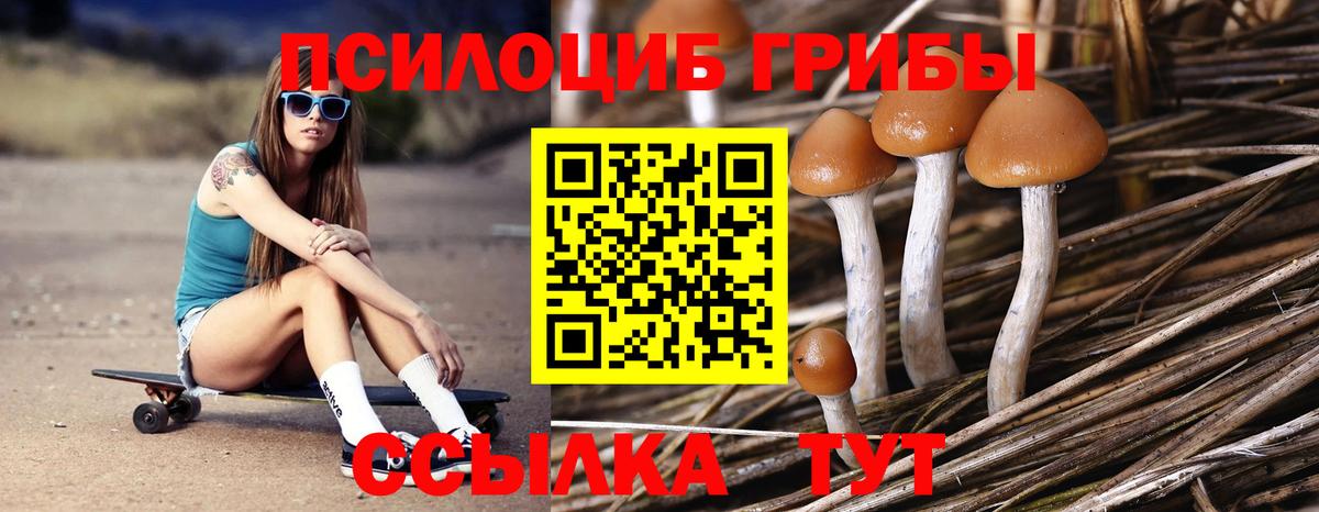 Галлюциногенные грибы мицелий Мирный
